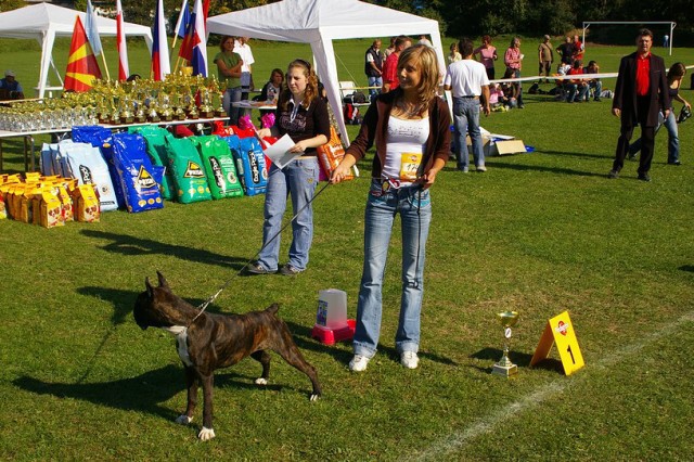 www.boxer-show.eu